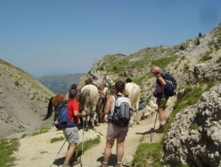  Horseback riding in the Vercors 